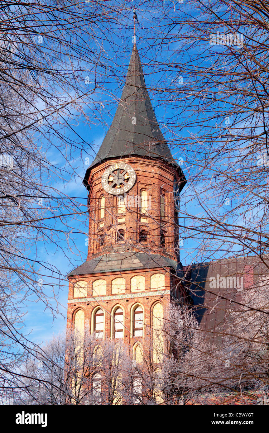 Kant`s cathedral in Kaliningrad Stock Photo